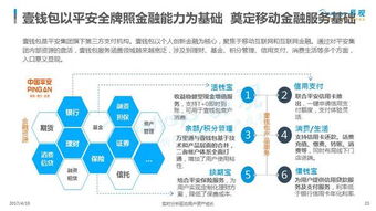 2017年中國(guó)移動(dòng)金融市場(chǎng)專題分析 互聯(lián)網(wǎng)信息技術(shù)服務(wù)驅(qū)動(dòng)的變革與展望